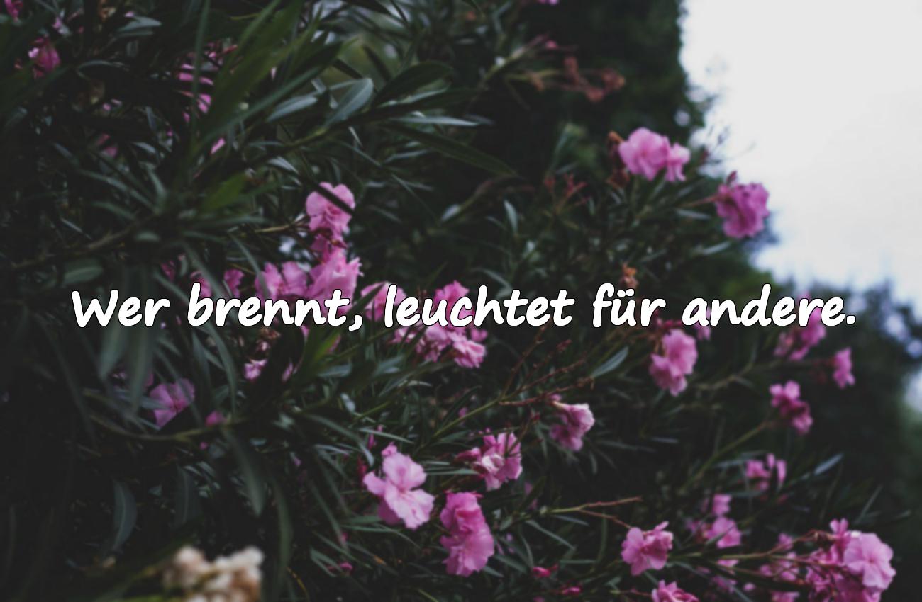 leidenschaft sprüche