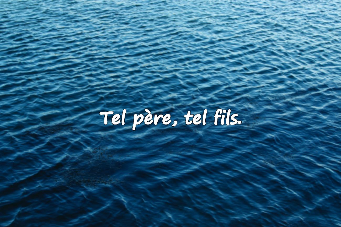 les proverbes de la vie