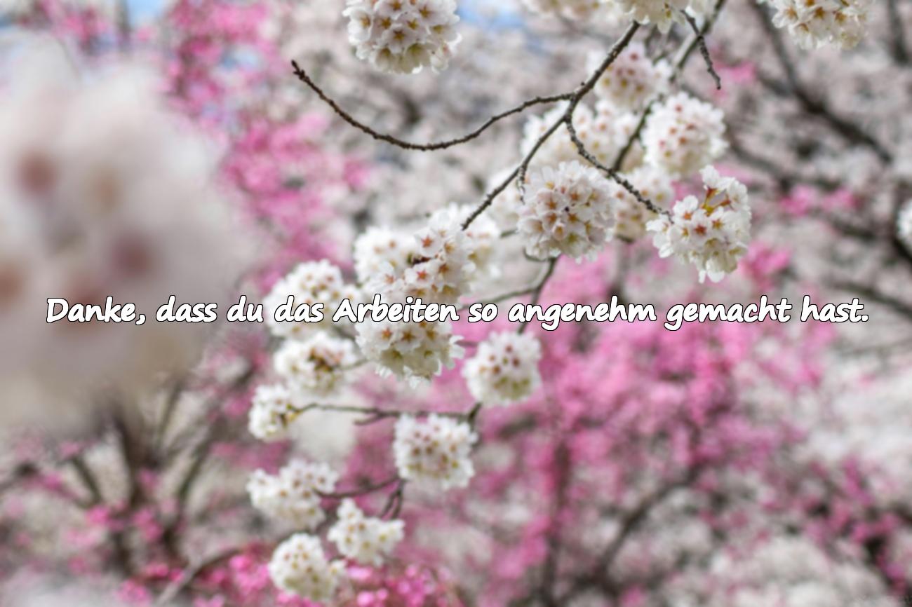 letzter arbeitstag spruch abschied kollege danke