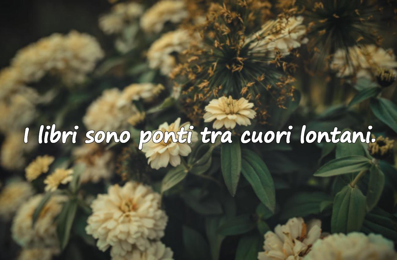 libri frasi