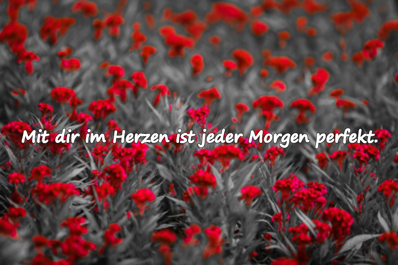 liebe guten morgen sprüche