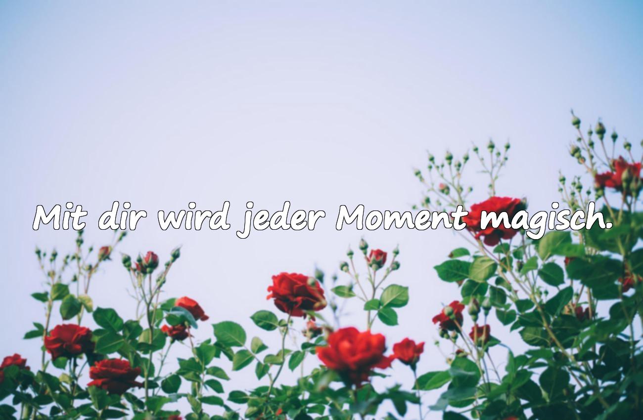 Liebe- und Valentinstag-Sprüche