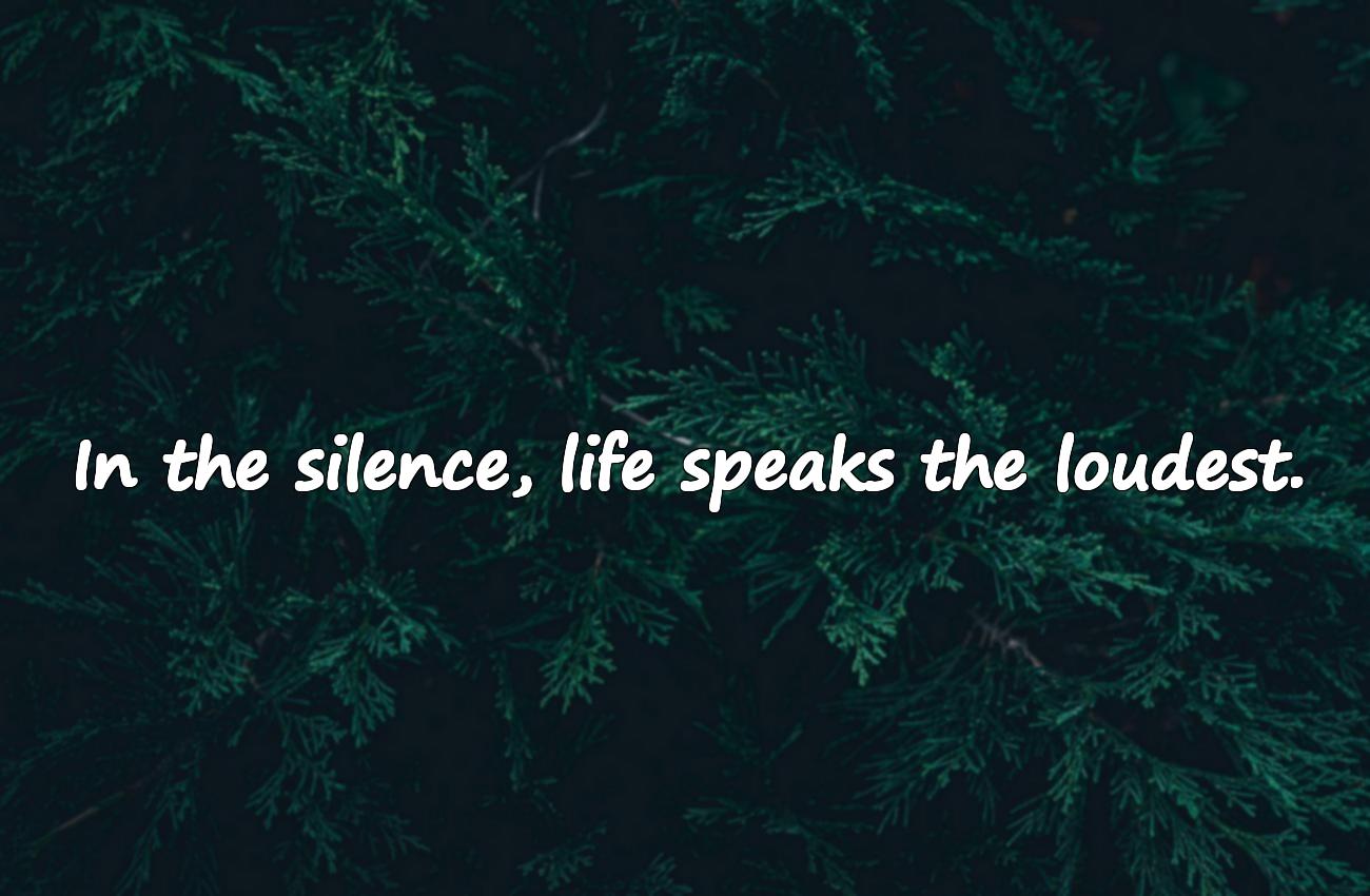 Life Inspirational Quotes