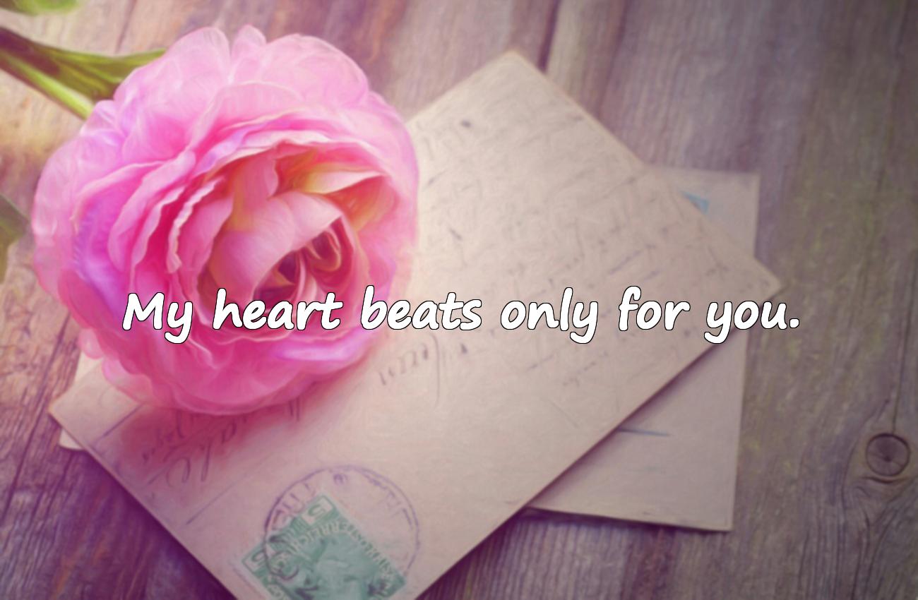 lines for love in english