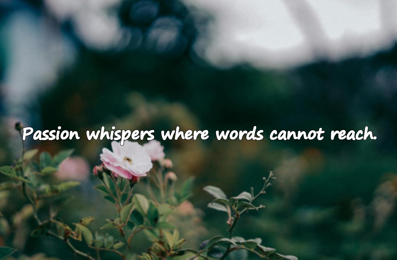 Love Inspirational Quotes