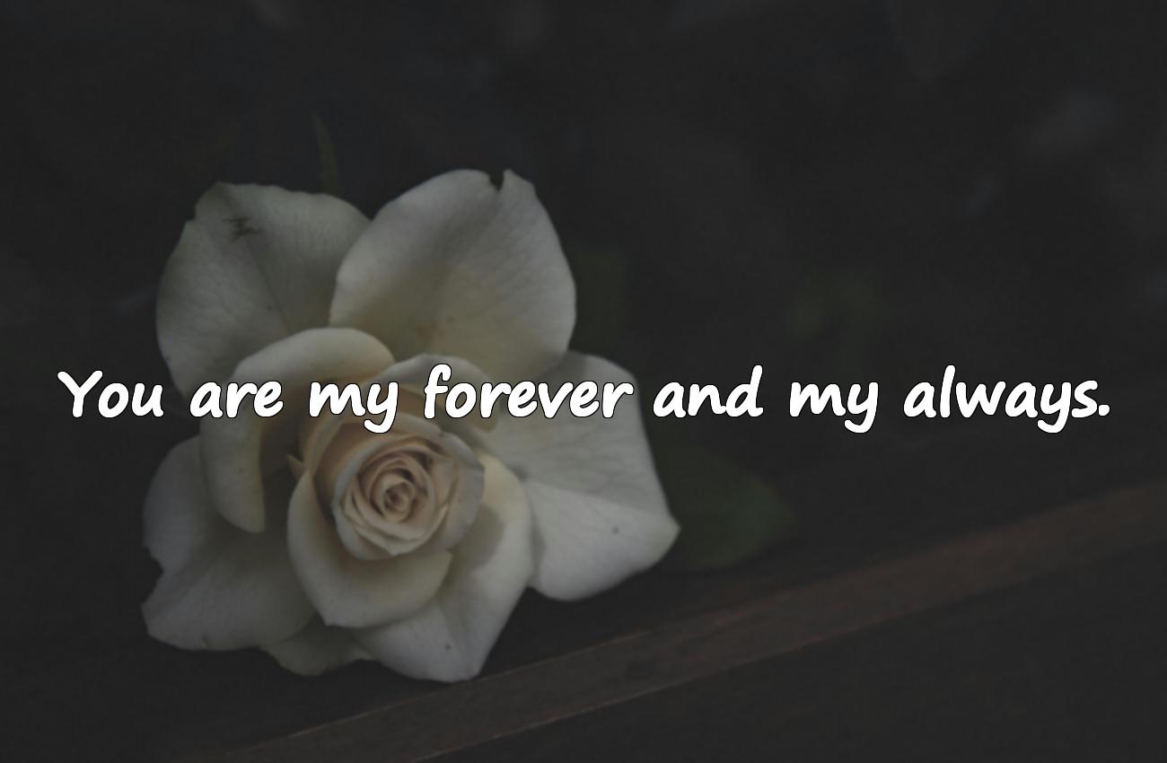 love lines for lover