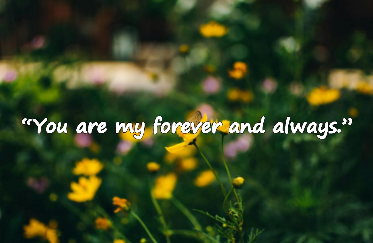 love message for my wife