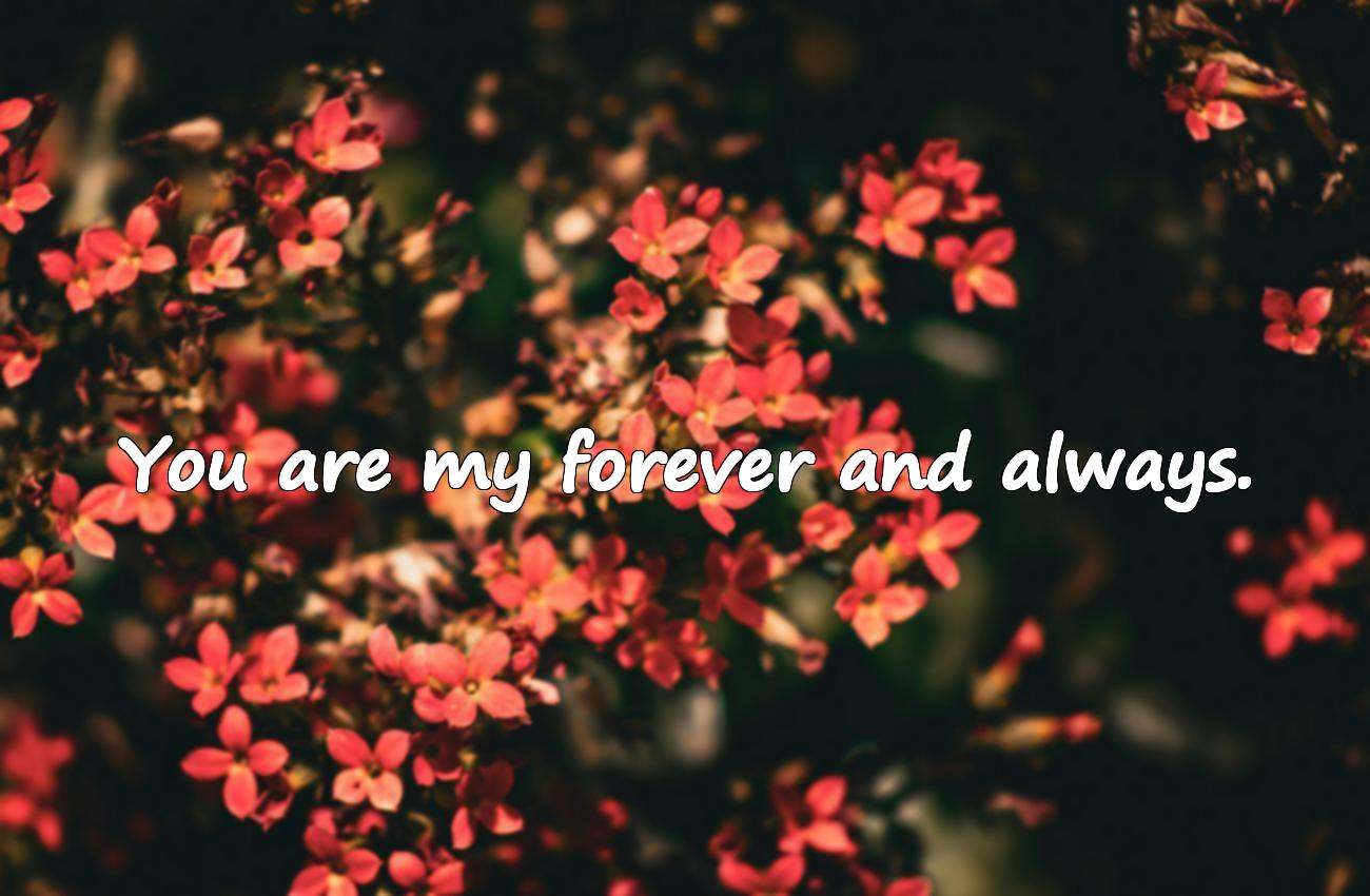 love quotes for my love