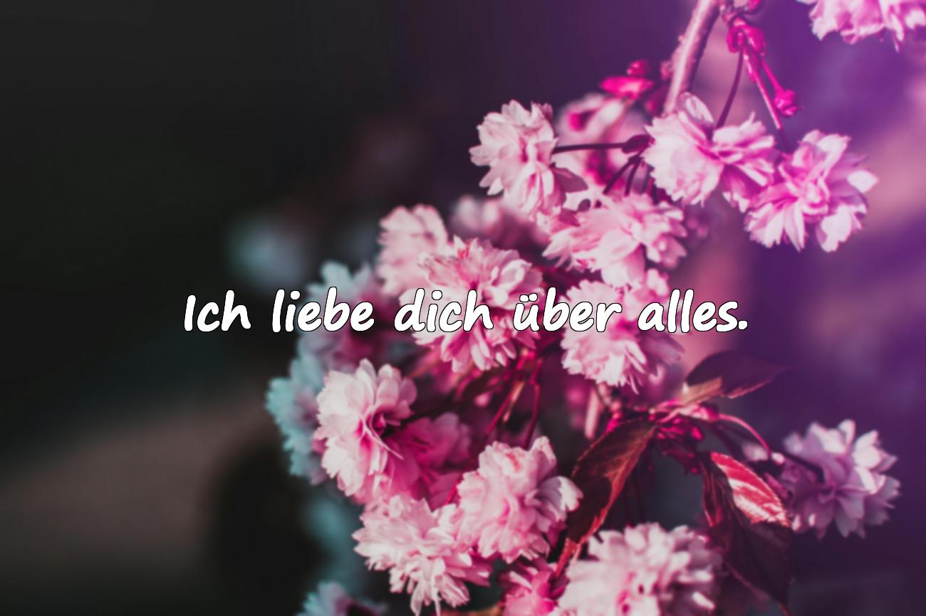 love sprüche