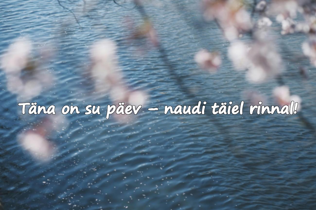 lusad sõnad sünnipäevaks emale
