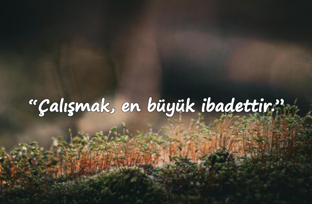 mehmet akif ersoy sözleri