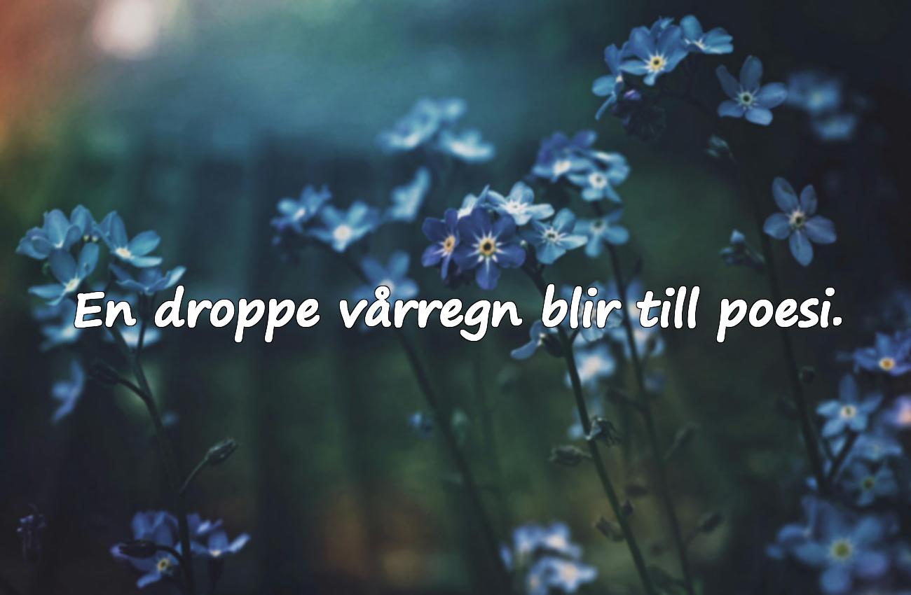 Meningsfulla citat om våren