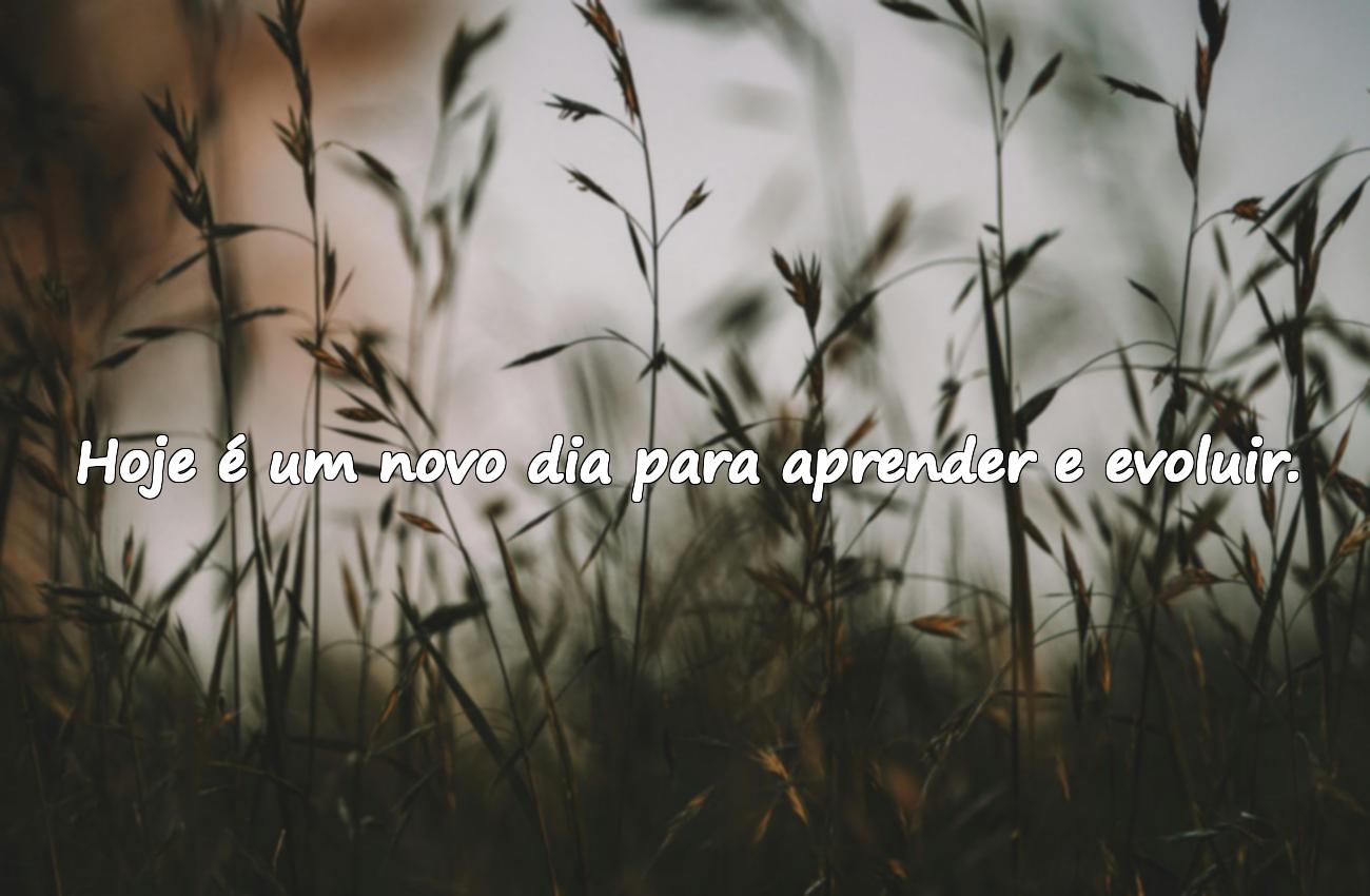 mensagens de bom dia