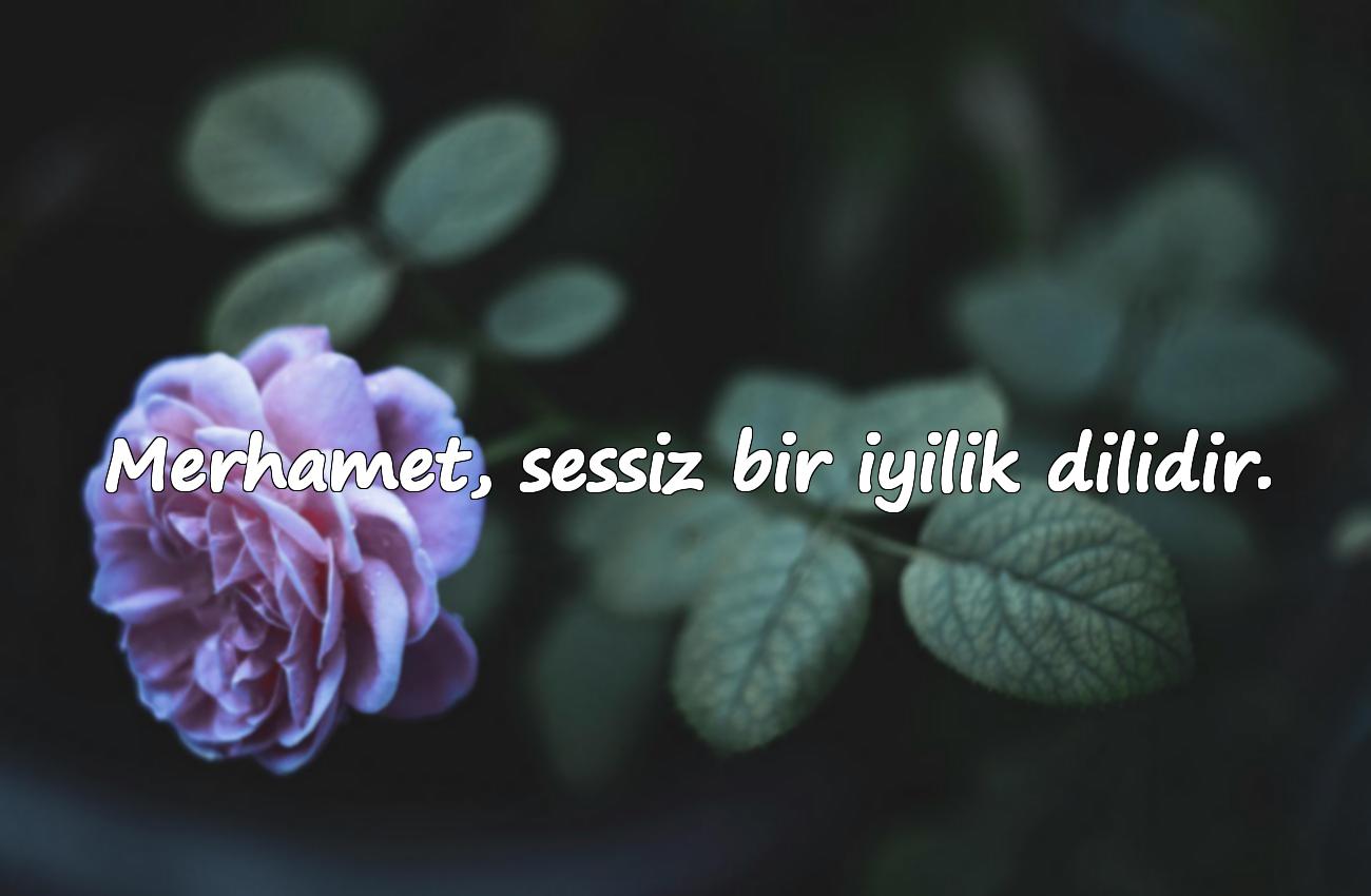merhamet ile ilgili sözler