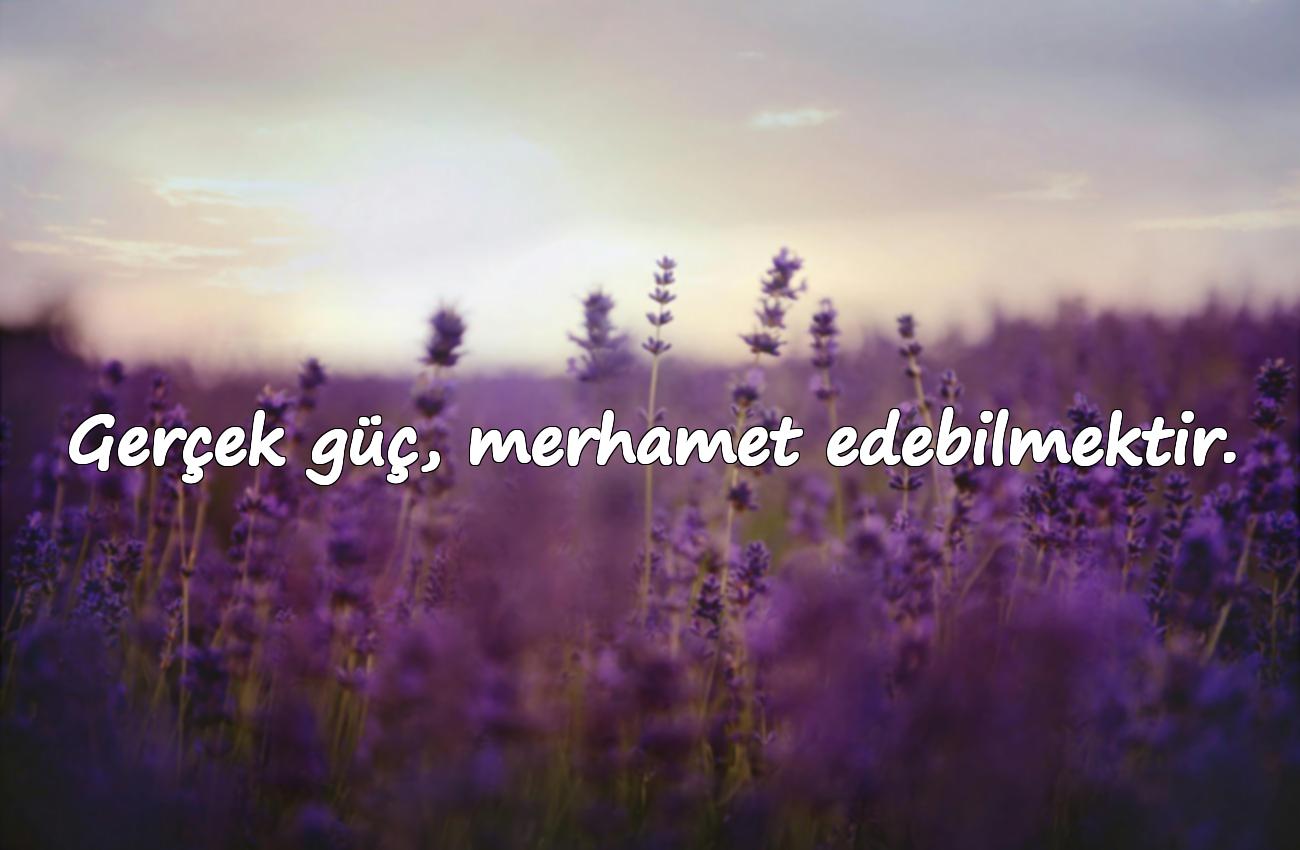 merhamet ile ilgili sözler