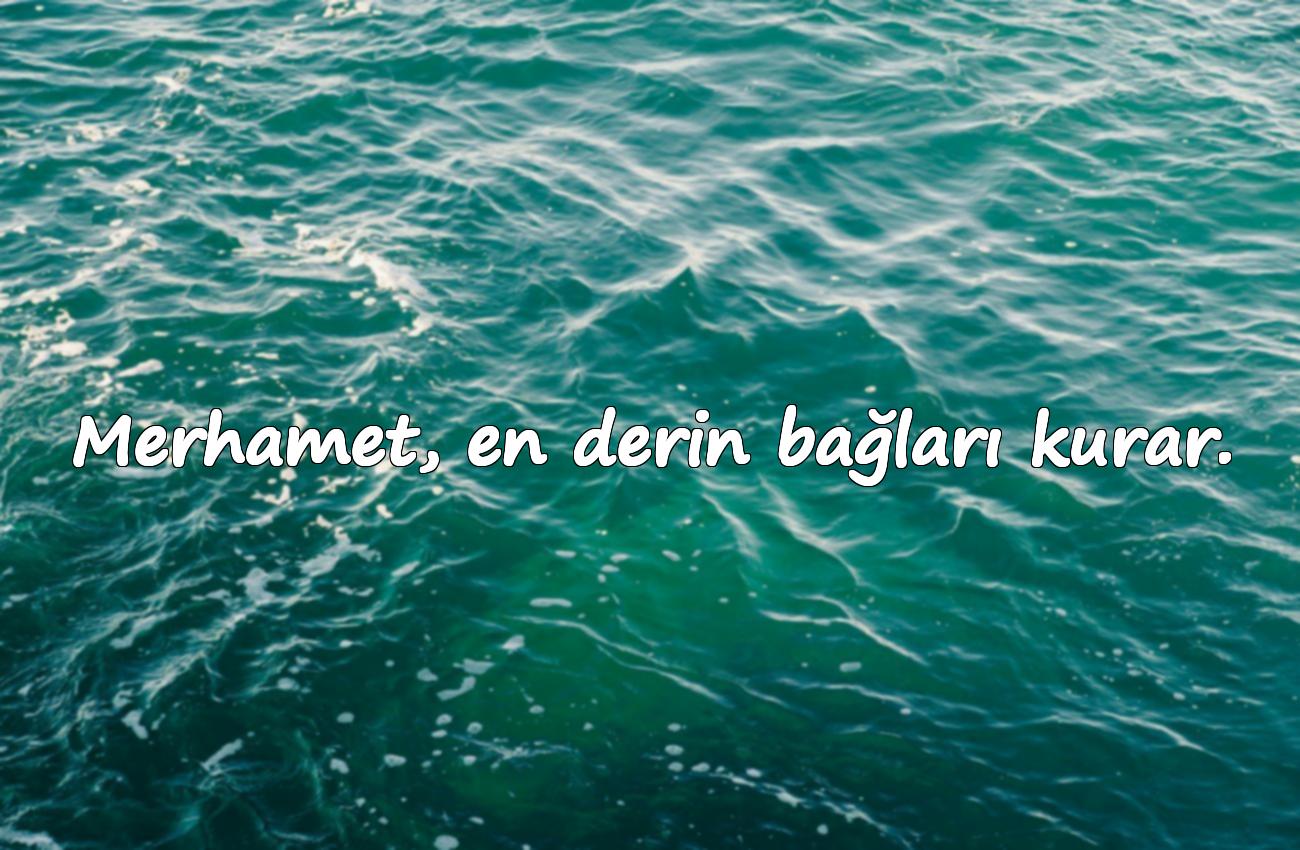 merhamet ile ilgili sözler