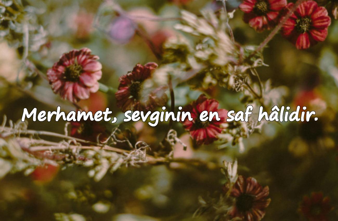 merhamet ile ilgili sözler