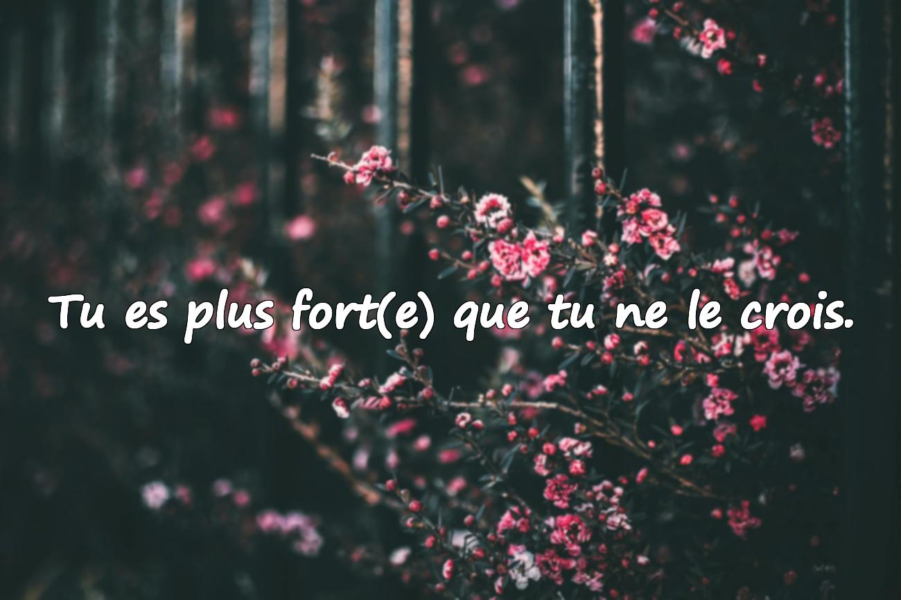 message motivation