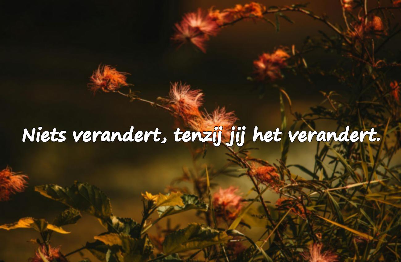 Mooie citaten over de toekomst