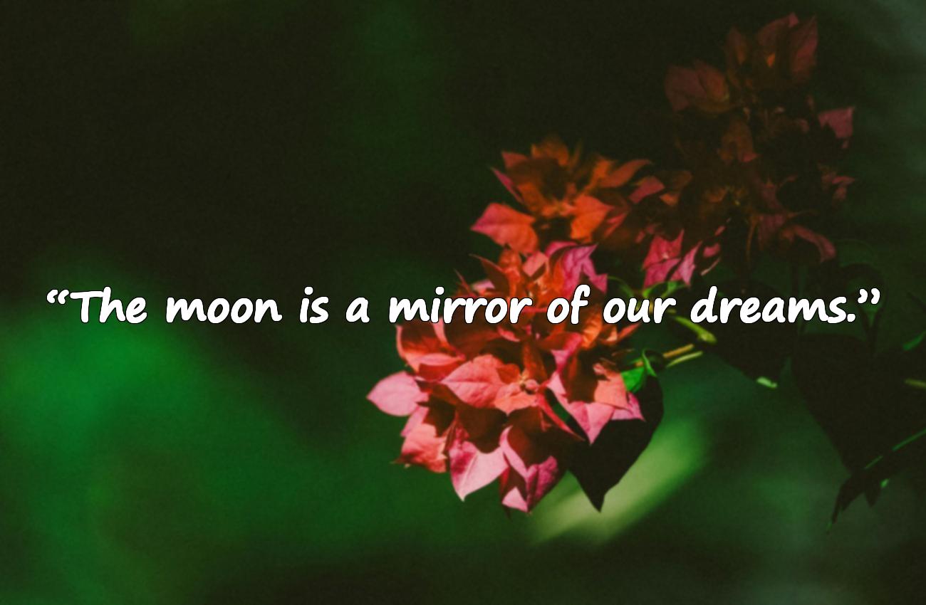 moon quotes