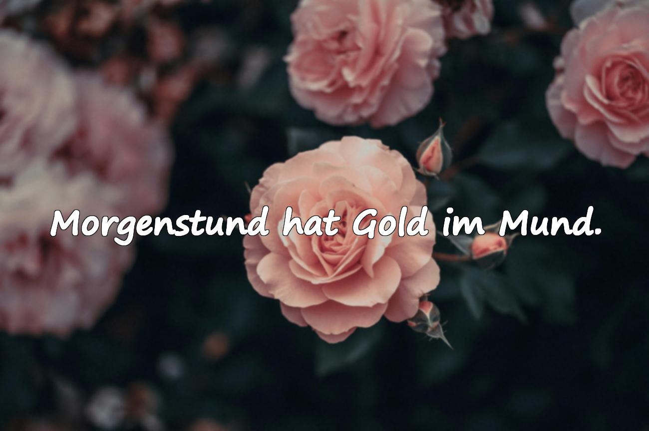 morgen sprüche