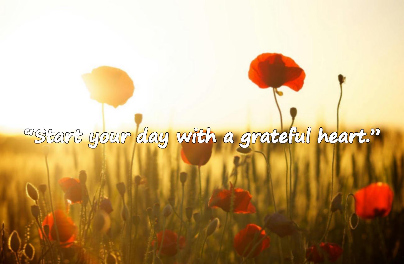 morning motivational quotes