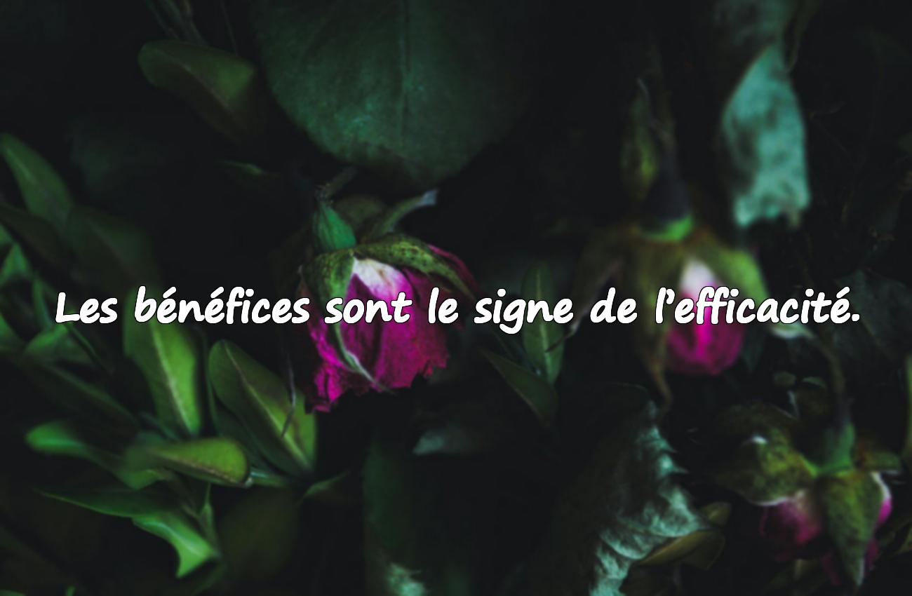 motivation extrinsèque