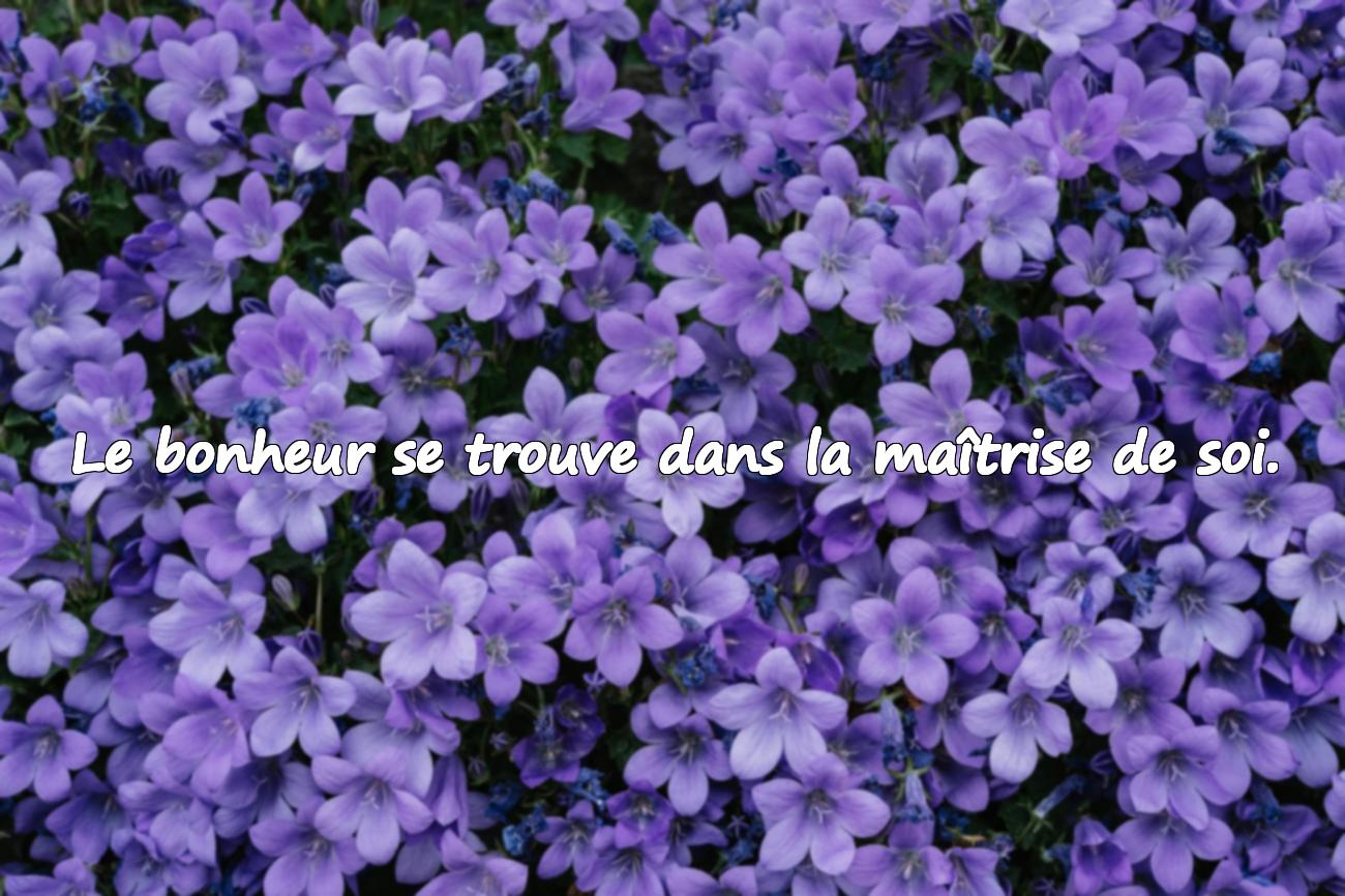 motivation intrinsèque