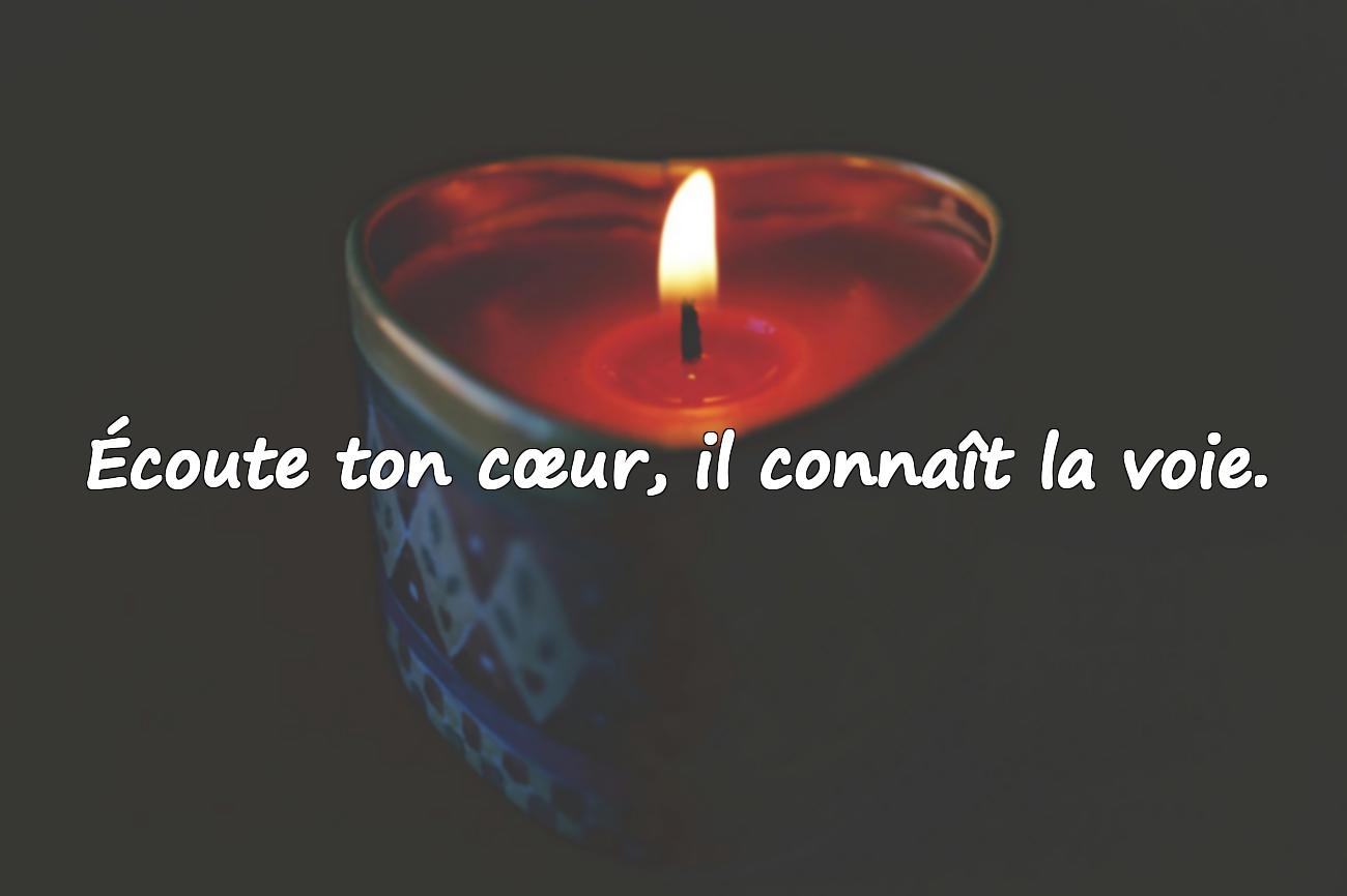 motivation intrinsèque