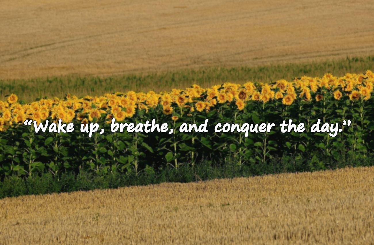 motivational good morning quotes