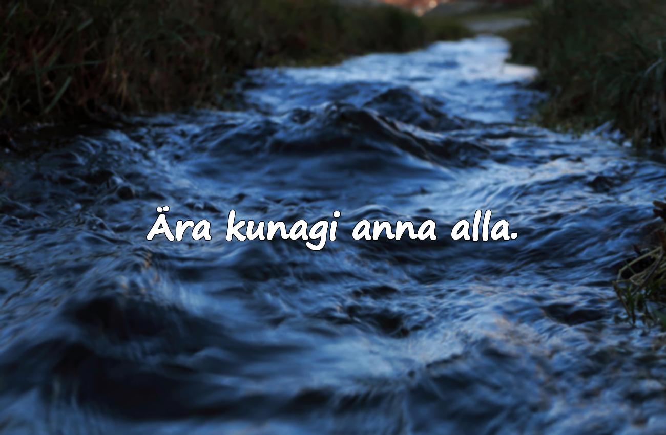 motivatsiooni tsitaadid