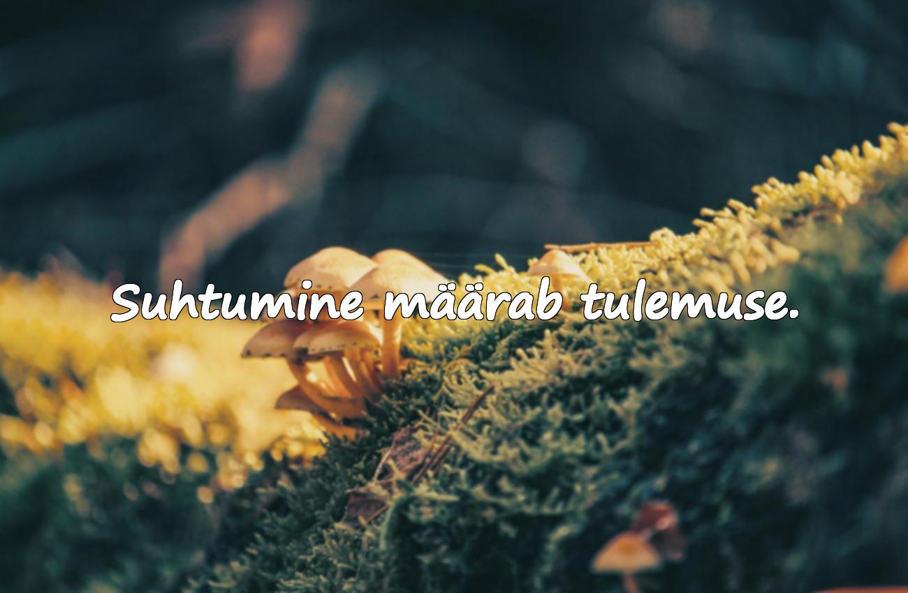 motivatsiooni tsitaadid