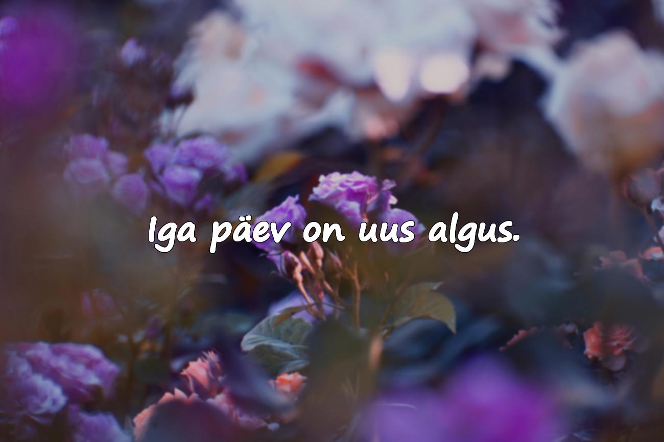 Motiveerivad tsitaadid