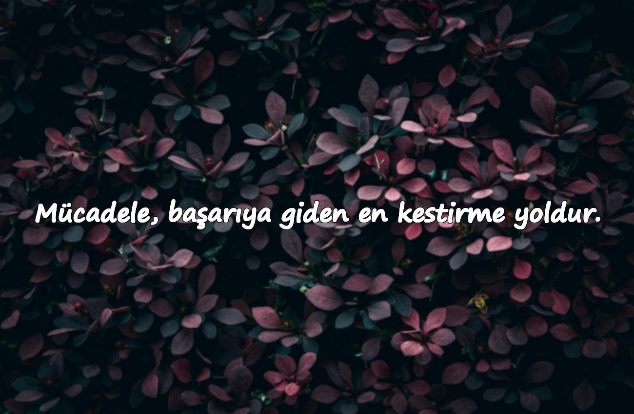 mücadele sözleri