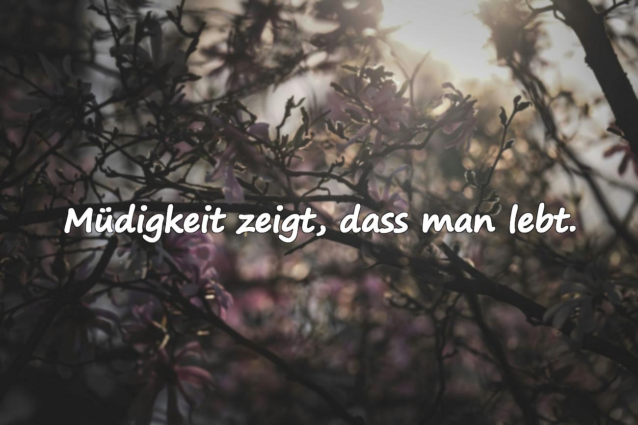 müde sprüche