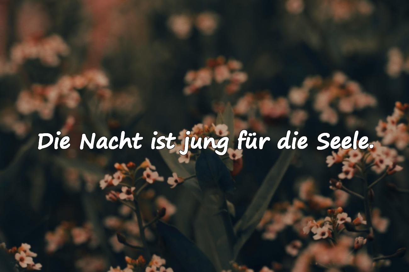 nacht sprüche