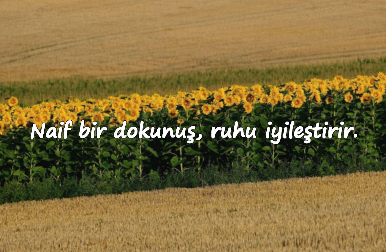 naif sözler