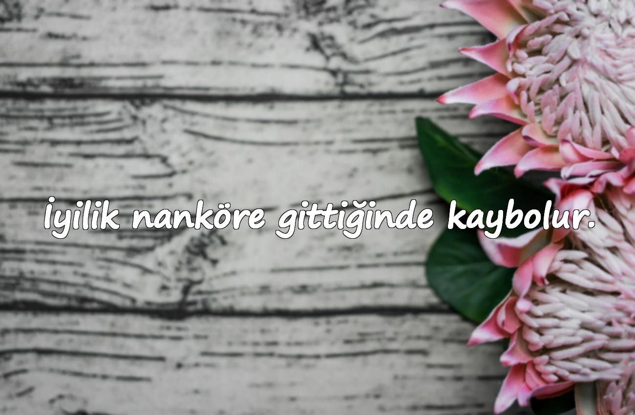 nankör insan sözleri