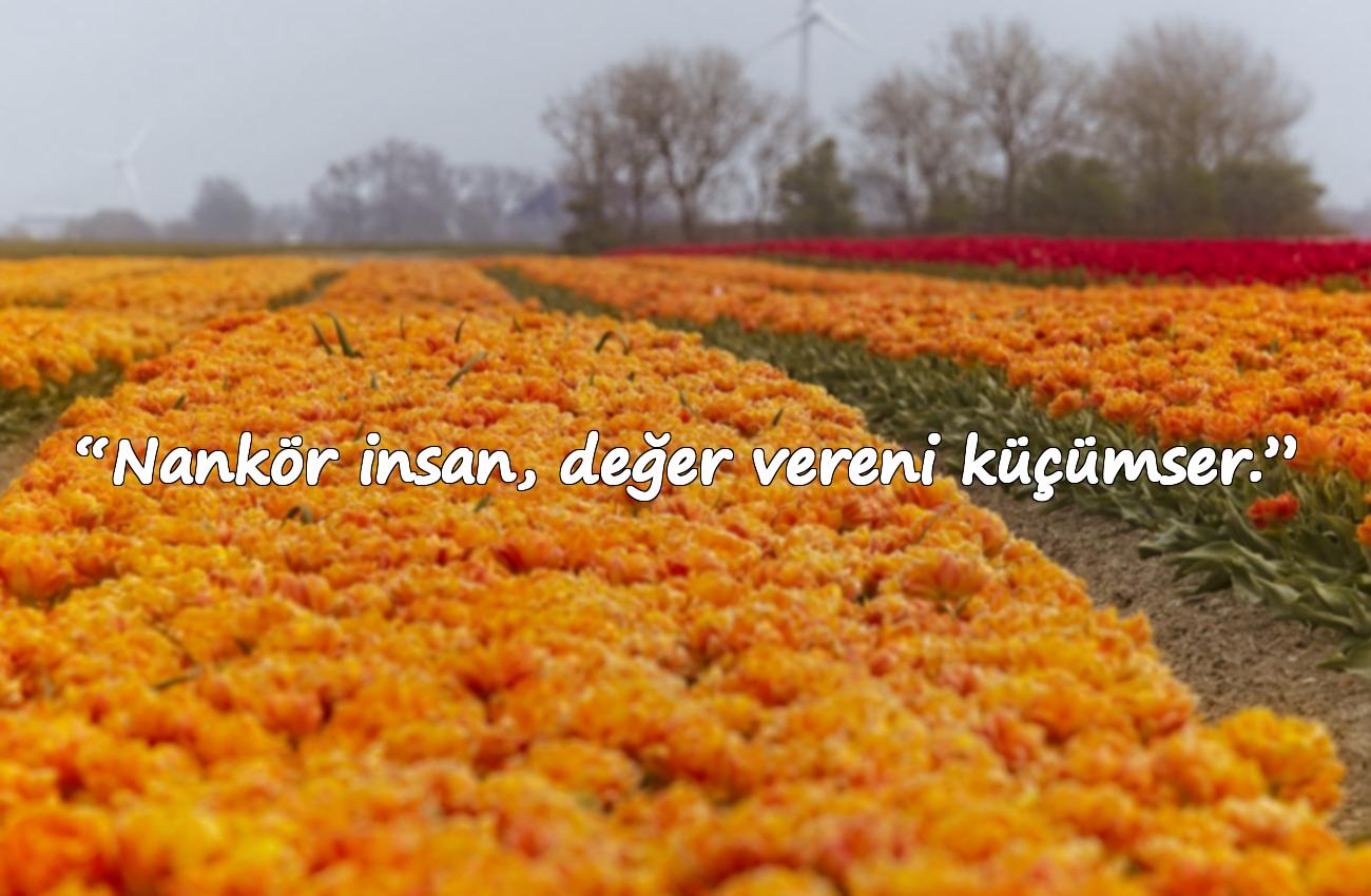 nankör sözler