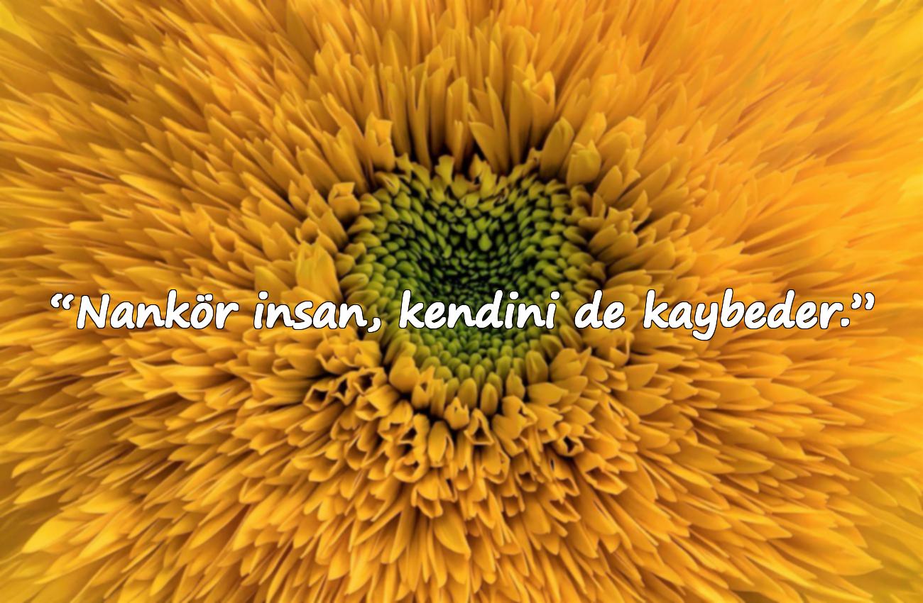 nankör sözler