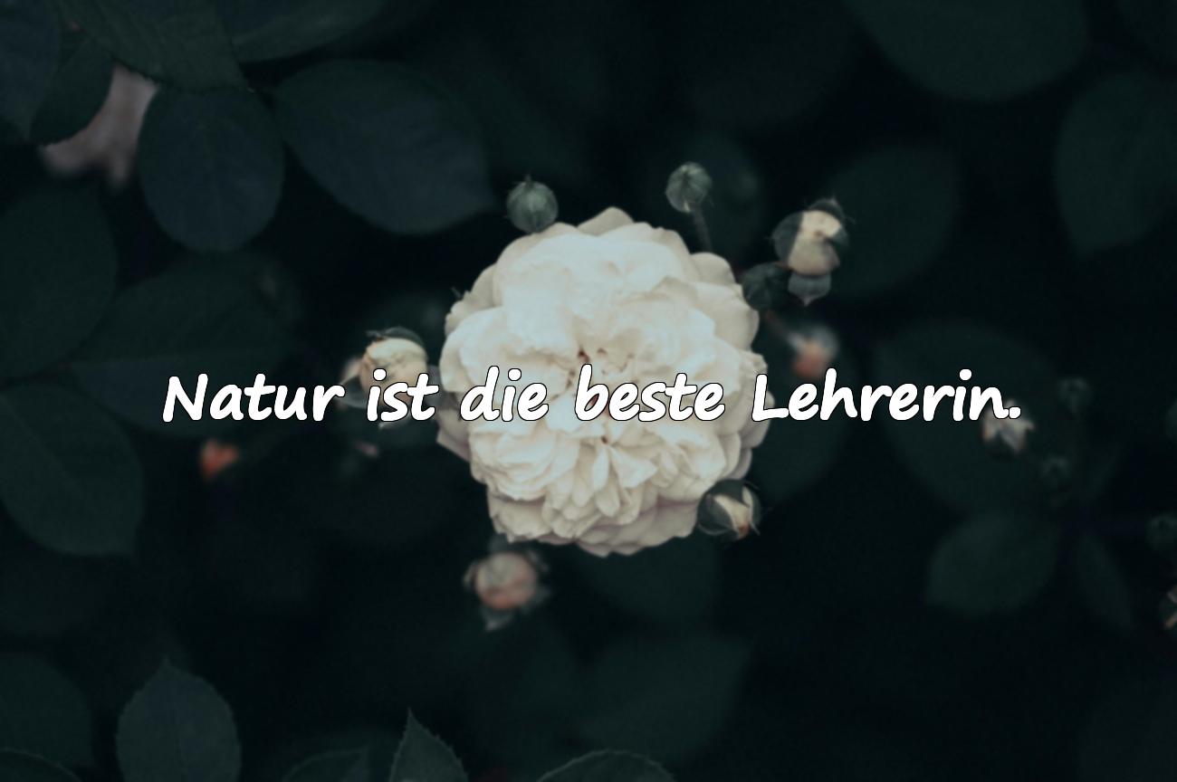 natur sprüche