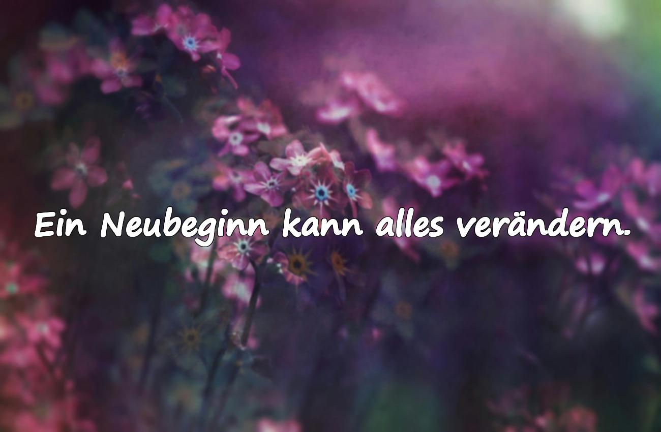 neubeginn sprüche