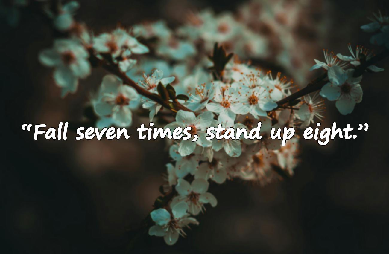 never give up quotes