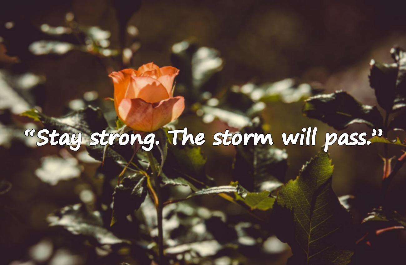 never give up quotes