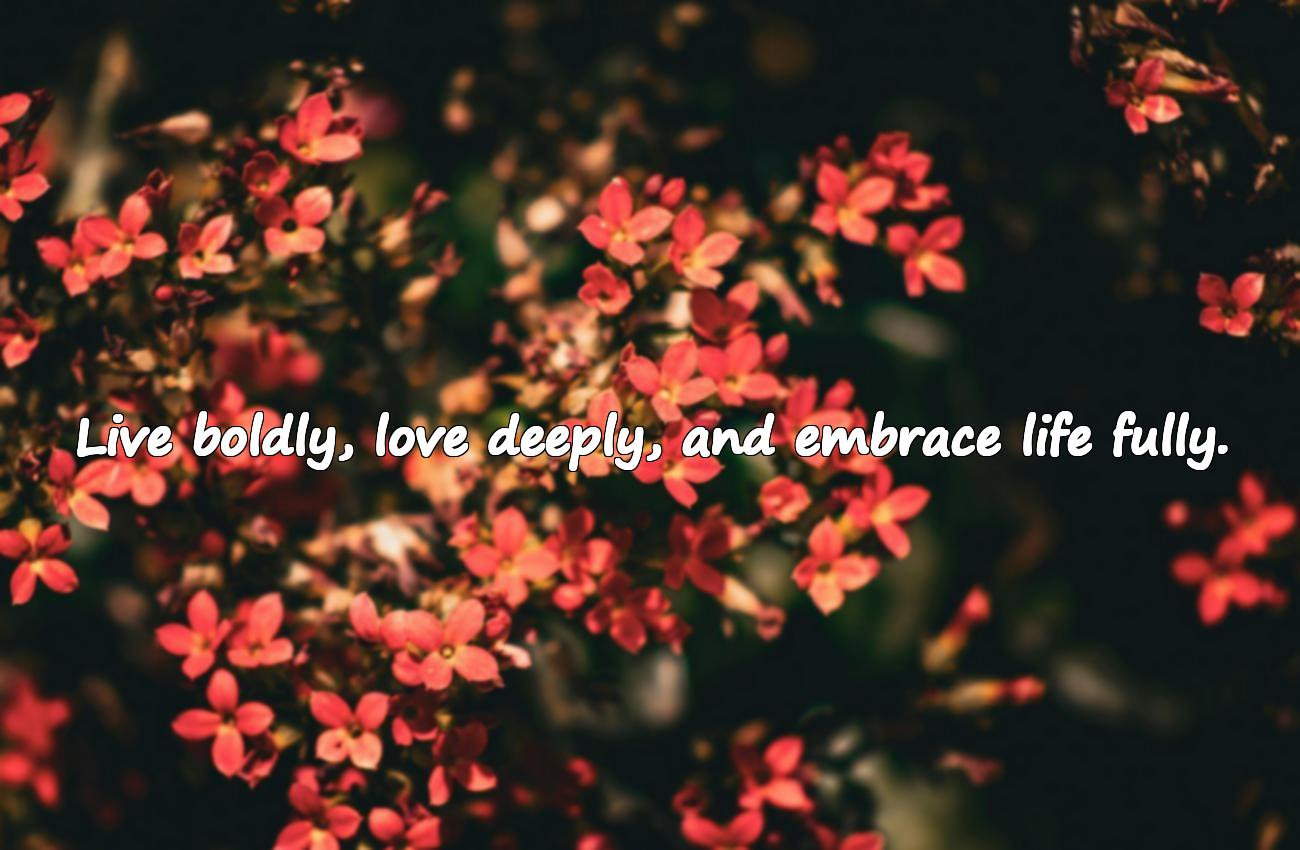 nice quotes about life