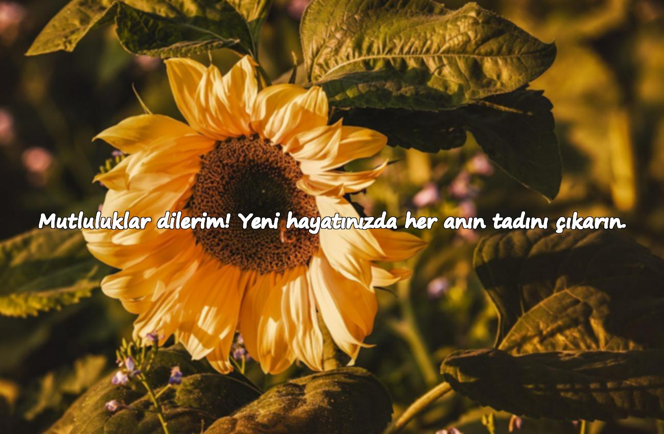 nikah tebrik sözleri