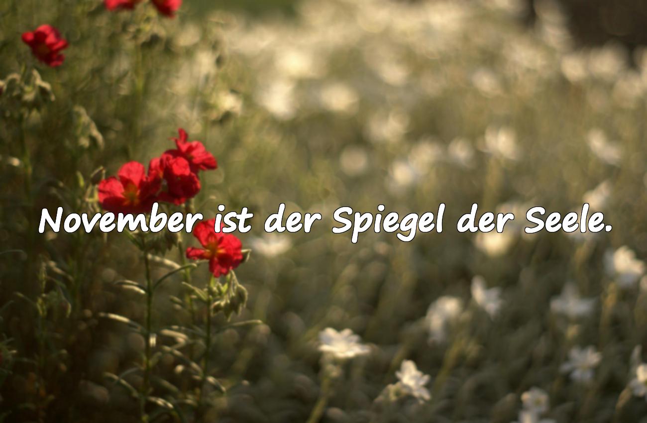 november sprüche