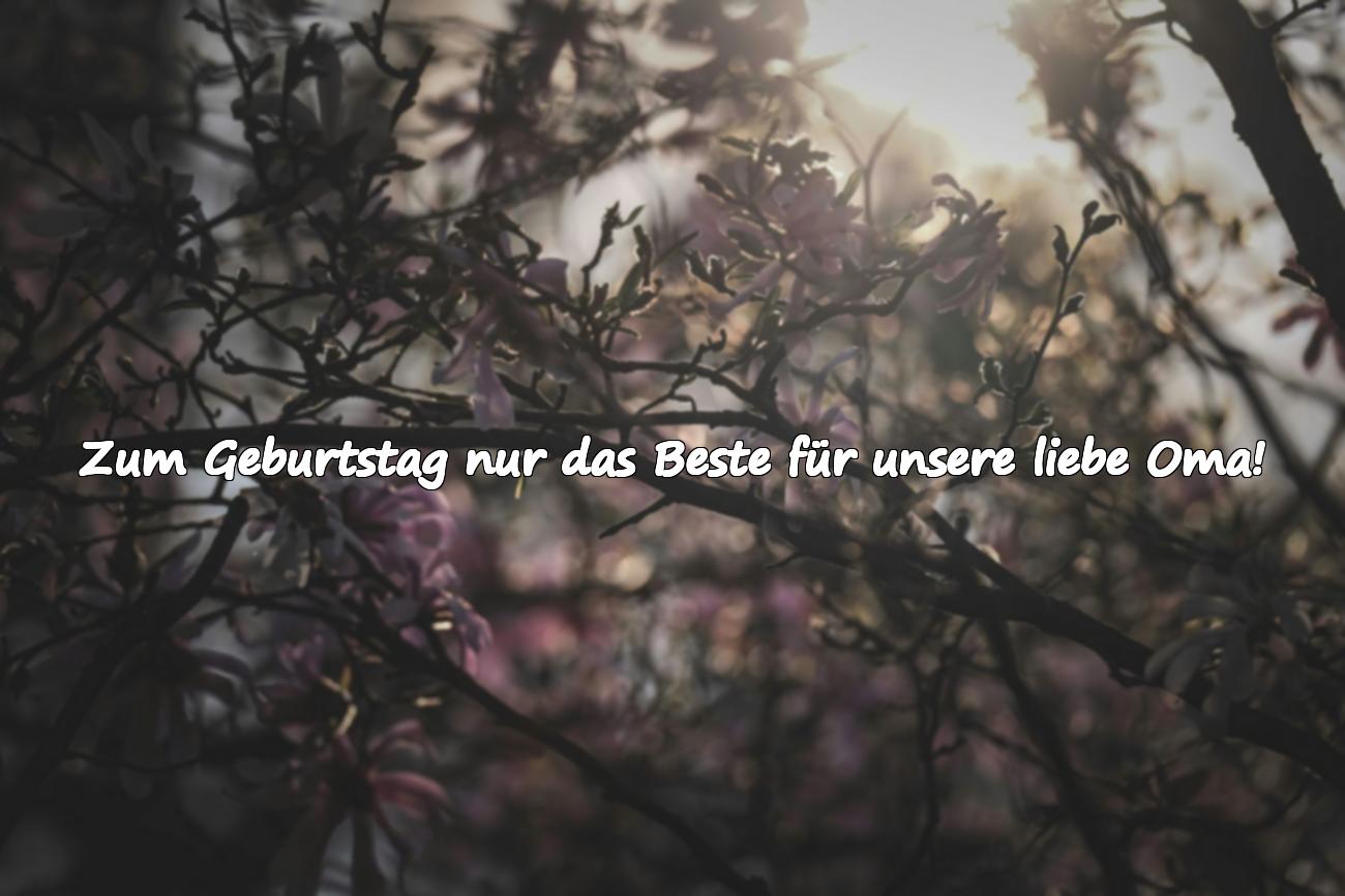 oma geburtstag spruch