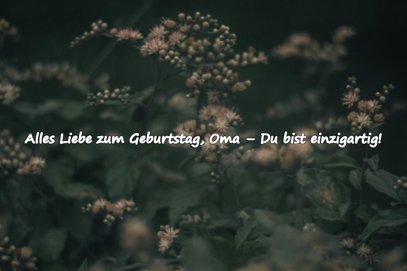 oma geburtstag spruch
