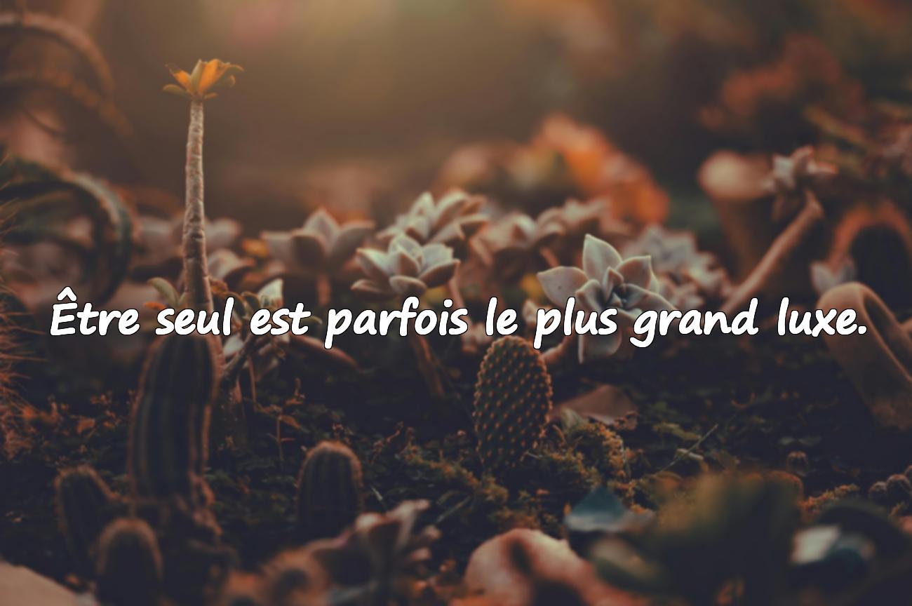 Citations sur la Solitude